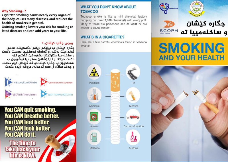 Workshop 1 Smoking and Health